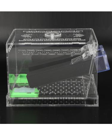 Cricket Pen Acrylic Cricket Feeding Box with Feces Layer Keep Cricket Feeding Neat and Tidy Convenient for Cricket and Pet(L) - Buy Online on GoSupps.com