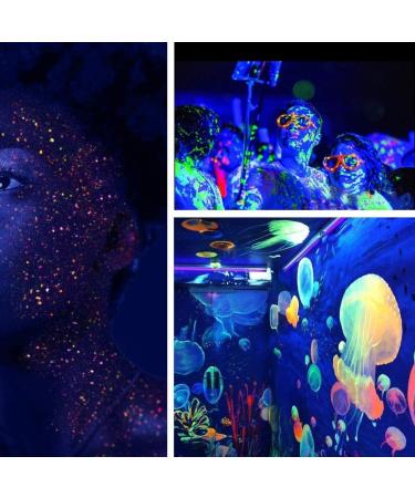 Glow in The Dark Powder Set - 12 Colors Epoxy Resin Dye for DIY Art & Crafts, Nail Art, Acrylic Paint - Luminous Pigment Powder, Long Lasting & Safe - 0.7oz Each - Buy Online on GoSupps.com