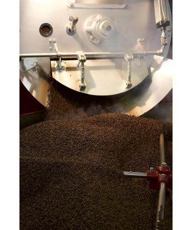 100 capsules MODO MIO - CAF VICERE' - D CAF IN - INTENSE - ARABIQUE (D CAF IN ) - Buy Online on GoSupps.com