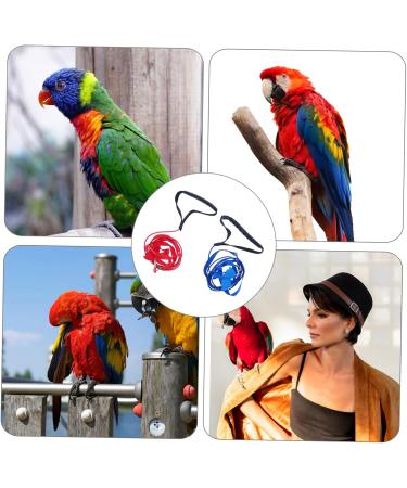 6 pcs Wing Training Cockatiel Parrot Adjustable Bird Leash Blue Belt Pet Conical with Tool Outdoor Lx3pcs Assorted Colorx3pcs - Buy Online on GoSupps.com