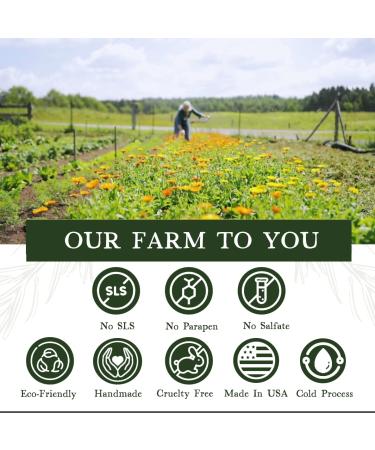 Birch Soap Natural Bar 16oz - Plant-Based Organic Vegan Soap for Men & Women | Essential Oils for Dry Skin | Ideal Gift - 10 Bars - Buy Online on GoSupps.com