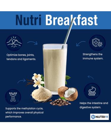 NutriBreakfast by Nutrillermo | Keto Collagen Protein Powder Bundle Chocolate Vanilla & Coffee | Grass-Fed Collagen with MCT Oil & Coconut Creamer | Energy Focus & Wellness Support - Buy Online on GoSupps.com