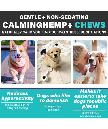 Calming Dog Treats for Anxiety - Calming Hemp Treats for Dog - Dog Anxiety Relief with Hemp Oil -Natural Stress Relief During Firework Storm Separation Barking - Beef Flavor Chewing Treats-60 Count - Buy Online on GoSupps.com