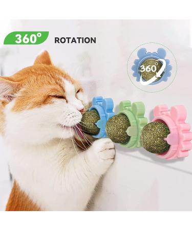 Catnip Balls Natural Catnip Toy Rotatable Playing Edible Balls Cat Toys Teeth Cleaning Catmint Toy for Cat Kitten Kitty Self-Adhensive Wall Mounted 360 Degree Rotatable - Buy Online on GoSupps.com