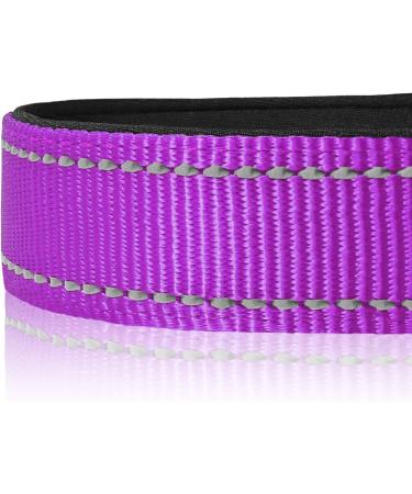 Buy Joytale Reflective Dog Collar for Medium Dogs - Purple M Size (Pack of 1) | International Shipping - Buy Online on GoSupps.com
