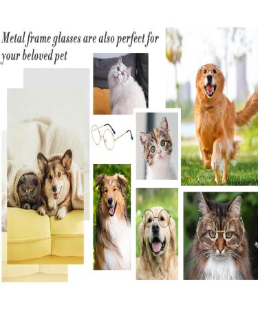 Shop 3-Piece Retro Round Glasses | Unisex Vintage Metal Frame & Clear Lenses - Perfect for Decoration! - Buy Online on GoSupps.com