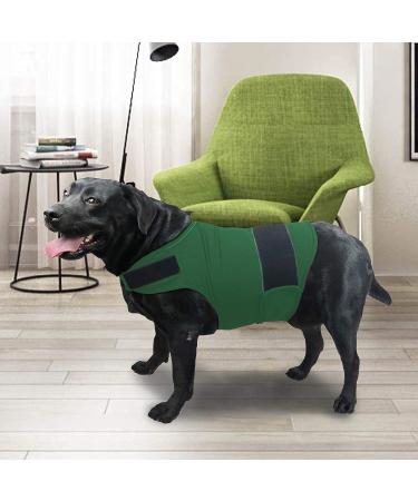 Shop Kittystar XL Breathable Dog Shirt - Calming Coat for Thunderstorms Fear Vest & Jacket in Green | Puppy Anxiety Relief - Buy Online on GoSupps.com