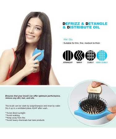 Bestool Small Travel Hair Brush - Wooden Boar Bristle for Women, Men, and Kids - Detangle, Defrizz, Distribute Oil - Blue - Buy Online on GoSupps.com