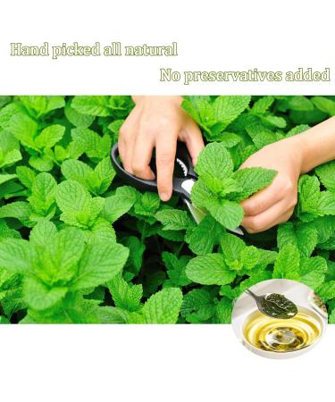 YanHouTang Organic Peppermint Tea Loose Leaf Herbal Tea Calm and Refreshing Mint Tea Healthy & Caffeine Free Expelling Wind and Clearing Away Heat 225g - Buy Online on GoSupps.com