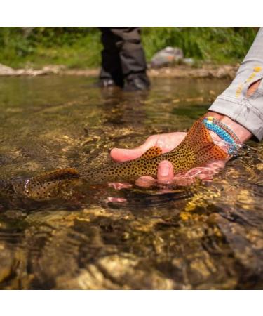 RIO Mainstream Trout Full Sinking Fly Line - Easy Casting 5wt Brown - Buy Online on GoSupps.com