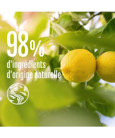 Le Petit Marseillais Shampooing Purifiant Ortie & Citron Bio (300 ml) Shampoing sans silicone pour cheveux regraissant vite 98% d'origine naturelle et pH quilibr 300 ml (Lot de 1) - Buy Online on GoSupps.com