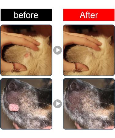  1/2/3/4/5Pcs Natural Dog Wart Removal Treatment | Dog Wart Remover | Dog Skin Tags with no Harm and Irritation | Effective Painless Wart Removal Treatment | Treatment for Dog Warts | 20ml (3Count (Pack of 3)) - Buy Online on GoSupps.com