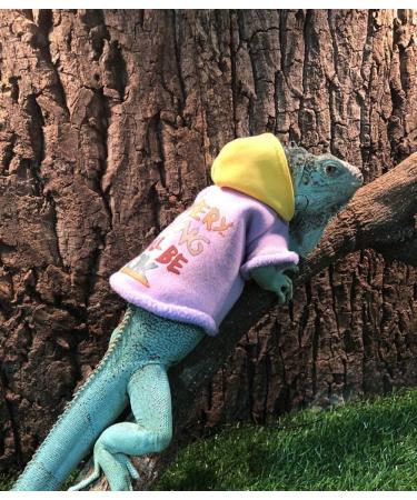 Lizard Clothes for Bearded Dragons Reptile Apparel Handmade Cotton Material Hoodies Sweater for Skin Protection Photo Party for Crested Gecko Chameleon Purple L - Buy Online on GoSupps.com