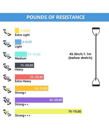 REEHUT Resistance Bands with Handles and Door Anchor - 10-12 lbs. Turquoise - For Physical Therapy, Home Workouts, Fitness, Pilates, Boxing - Strength Training Manual Included - Buy Online on GoSupps.com