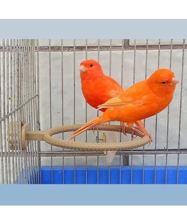 Multi-Function Caged Bird Bath Bird Cage Parrot Supplies Bathing Tub for Canary Finch Budgerigar Perch Stand(4.5") - Buy Online on GoSupps.com