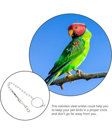 CIYODO 1 Set Parrot Anklet Parrot+Ring+Foot Bird Harness Parrot Foot Ring Bird Leash Conure Stainless Steel 23X4X0.1cm Silver - Buy Online on GoSupps.com