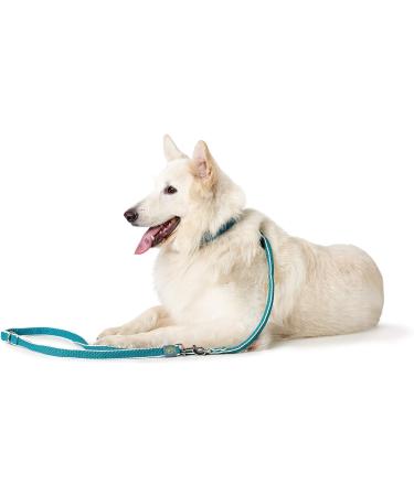 HUNTER HILO Adjustable Dog Leash Light Mesh 2.5 x 200 cm Turquoise | Shop Internationally - Buy Online on GoSupps.com
