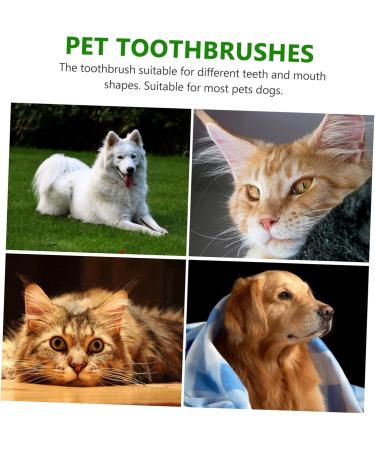 GANAZONO 3 Sets Pet Toothbrush Toothpaste for Dogs Green Dog Toothbrush Pet Mouth Cleaning Tool Tools Pp - Buy Online on GoSupps.com