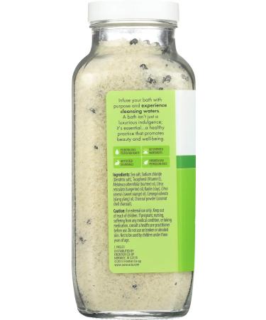 Aura Cacia Cleanse Body Soak 18.5 oz - Soothing Bath Soak for Detox & Relaxation - International Shipping Available - Buy Online on GoSupps.com