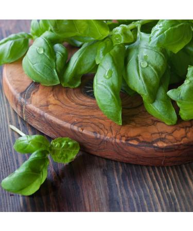  NCA 100% Natural Dried Basil Leaves Grated Dried Basil Kitchen Pesto Herbal Tea Infusion NCA (50) - Buy Online on GoSupps.com