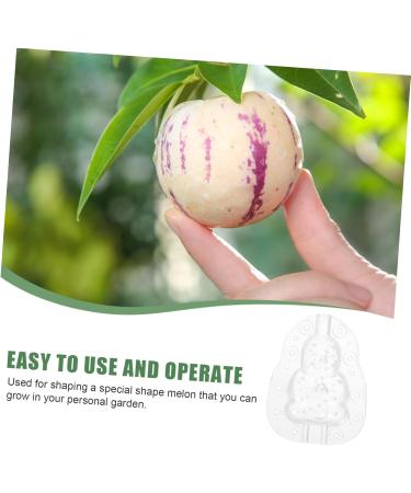 SUPVOX 6 pcs Gardening Multifunction Reusable Watermelon Accessories Fruits Clear Creative - Buy Online on GoSupps.com