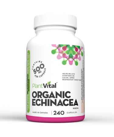 PlantVital Echinacea capsules 500mg Source of Vitamin C and Zinc Treatment for respiratory tract infections Helps relieve cold symptoms 240 capsules Vegan non-GMO. Made in Canada. 240 count (Pack of 1)