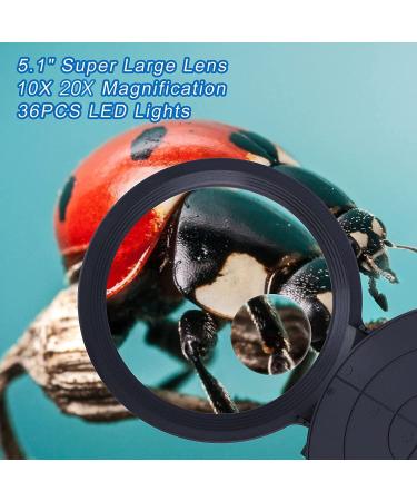 10X 20X Magnifying Glass with Light and Stand | Brightness Adjustable Desk Lamp for Reading, Close Work, and Hobbies - Buy Online on GoSupps.com