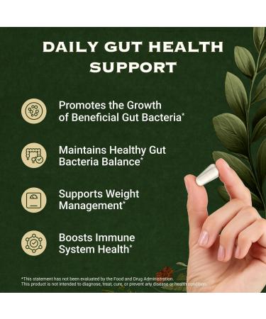 AdvantageNutra Akkermansia Muciniphila Probiotics and Prebiotics w/Lactobacillus Salivarius | Fiber Supplement Gut Health & Digestive Health | Women Probiotic Akkermansia Light - Buy Online on GoSupps.com