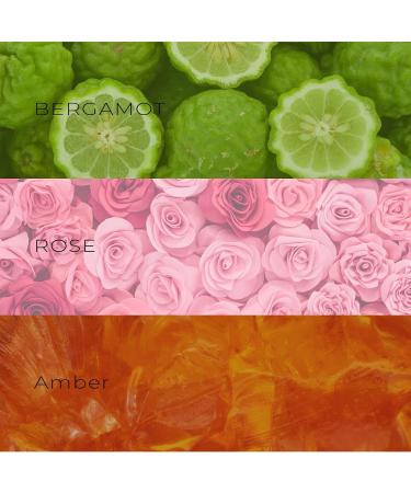 David Walker Alnus Fragrance | Exclusive Collection | Long lasting perfumes for Women | Bergamot Grapefruit Plum Green Apple Mandarin Orange | 50ml/1.7oz (Pack of 1) - Buy Online on GoSupps.com