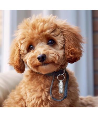 Welsberg 6-Piece Waterproof Address Pendant & Sleeve Set for Dogs & Cats | Ultra-Light Silver Trailer Caps - Buy Online on GoSupps.com