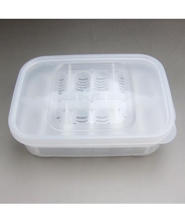 Alfie Pet Bali Reptiles Egg Incubator Tray - Ideal for Reptile Breeding and Incubation - Buy Online on GoSupps.com