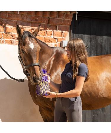 Equilibrium Vitamunch Marvellous Meadow 1Kg - Horse Snack/Treat 1 kg (Pack of 1) Marvellous Meadow - Buy Online on GoSupps.com