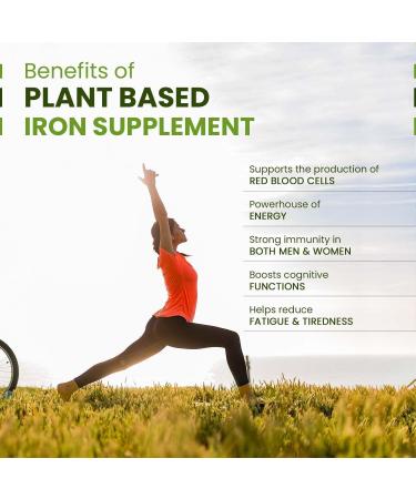 Generic Plant Based Iron Supplement with Folate | Improved Hemoglobin & Oxygen Capacity | Stomach Friendly | Boost Energy - 120 Veg Capsules - Buy Online on GoSupps.com