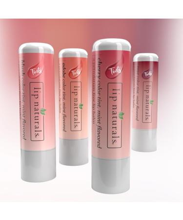 Lip Naturals Tinted Lip Balm 4 Pack of Assorted Colors with Beeswax Coconut Oil Vitamin E and Aloe - Moisturizing Lip Care with a Smooth Mint Flavor - Buy Online on GoSupps.com