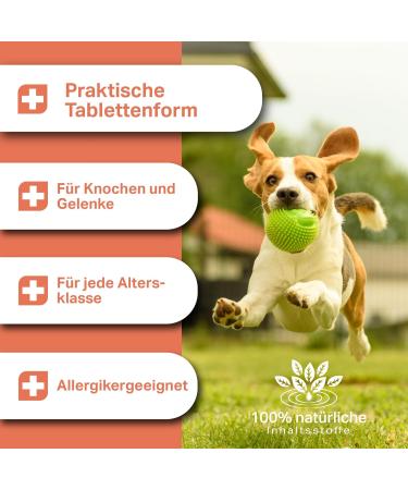 Medidog Joint Active Tablets for Dogs - 210 Count | Supports Bones & Joints with Glucosamine Chondroitin Hemp & More - Buy Online on GoSupps.com