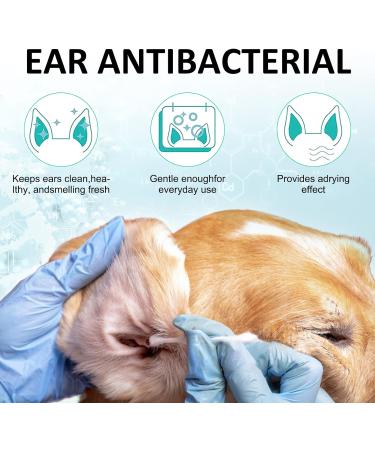 Ear Care for Dogs Ear Cleaner for Dogs provides relief for yeast infection itching and odours-first aid antiseptic ear drops for dogs is an antibacterial dog ear cleaner for puppy cats and dogs 50ml - Buy Online on GoSupps.com