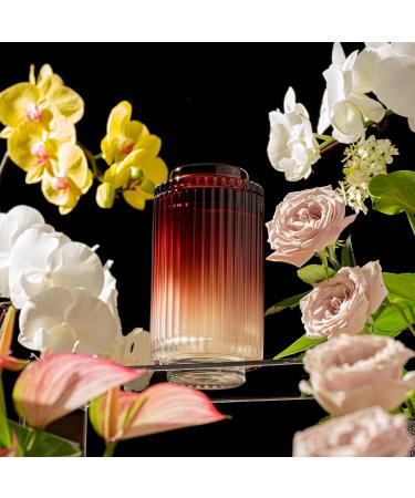 La Jolie Muse Sandalwood Rose Candle - 19oz Large Natural Soy Luxury Glass Jar Candle for Women | Long Burning 120 Hours | Wedding & Home Scented Gift - Buy Online on GoSupps.com