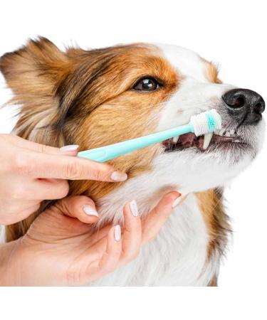 2-Piece Dog & Cat Toothbrush Set | 360 Soft Silicone Pet Dental Care for Deep Cleaning - Pink/Green - Buy Online on GoSupps.com