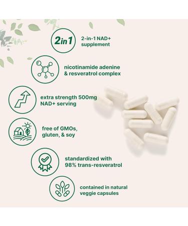 Micro Ingredients NAD+ 500mg with Resveratrol 240 Veggie Capsules | 2-in-1 NAD Supplement for Women & Men | NMN Pathway Alternative | Non-GMO Gluten Free 240 Count (Pack of 1) - Buy Online on GoSupps.com