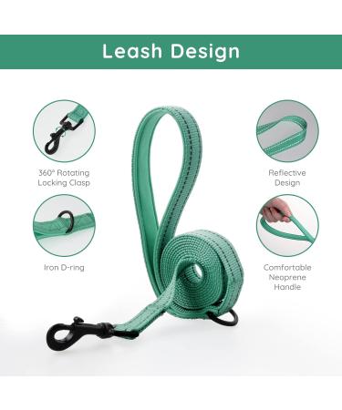 Bella & Pal Dog Harness for Small Dogs - Step-In Air Mesh Reflective Breathable - Includes Leash & Dishes - Perfect for Puppies & Cats (Emerald M: 40-45cm) - Buy Online on GoSupps.com