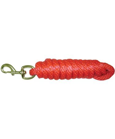 Hamilton Poly Leash with Snap Hook Red