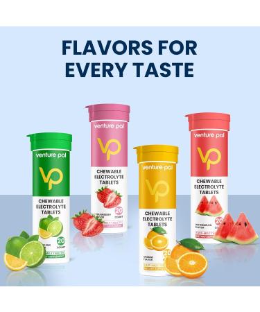 Venture Pal Chewable Electrolyte Tablets - Sugar-Free Rapid Hydration for Sports Running & Hiking | Keto & Vegan Friendly | 80 Count Variety Pack - Buy Online on GoSupps.com