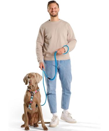 Hands-Free Dog Leash - 2m Adjustable Belly Belt for Running & Jogging | 3-in-1 Training & Hunting Leash for All Dog Sizes - Touline Petrol - Buy Online on GoSupps.com