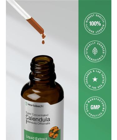Horb ach Calendula Tincture | 2 fl oz | Liquid Extract Drops | Alcohol Free | Vegetarian Non-GMO Gluten Free Herbal Supplement - Buy Online on GoSupps.com