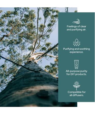 Plant of Life Essential Oil - 100% Pure and Natural - Therapeutic Grade Essential Oil with Dropper (Eucalyptus 2 oz (60mL)) - Buy Online on GoSupps.com