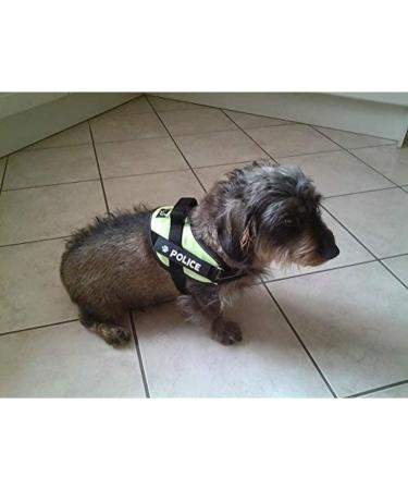 2 custom labels for julius k9 harnesses 12 x 3cm - Buy Online on GoSupps.com
