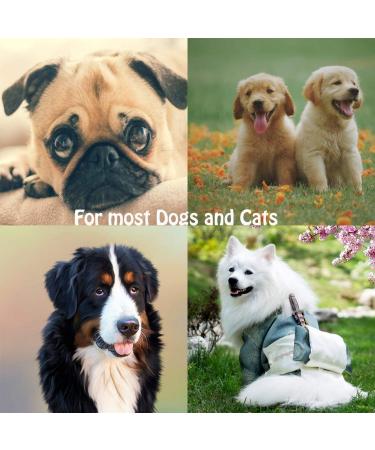 TuNan 7 Pcs Pet Grooming Comb Set for Dogs and Cats - Metal Head Comb for Tear Stain Removal, Long Hair Detangling, Crust and Mucus Removal - Pet Grooming Tool Kit with 5 Comb Types - Buy Online on GoSupps.com