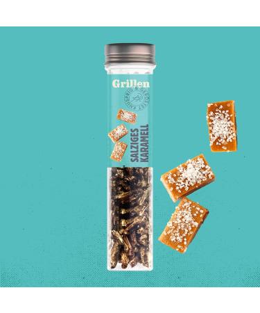 Original Sensible Insect Snack - Crunchy Protein Party Mix | Spicy & Sweet Grilling Gift - 4x20g - Buy Online on GoSupps.com