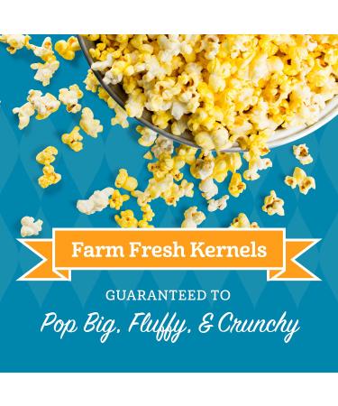 Franklin's Gourmet Organic Popcorn Kernels - 13.5oz Tub - Made in USA, All-Natural, Certified USDA Organic, Best Movie Theater Taste - Buy Online on GoSupps.com