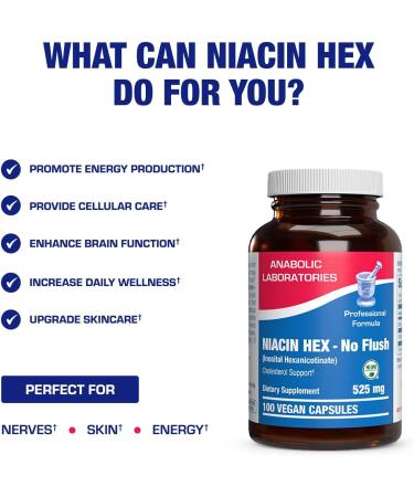 High Absorption Vitamin B3 Niacin Flush Free - Clinical Formula Flush Free Niacin Supplement from Inositol Hexanicotinate for Heart Skin & Nerve Support - Vegan Non-GMO Made in The USA - 100 Servings - Buy Online on GoSupps.com